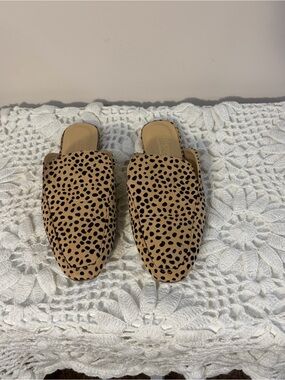 Catherine Malandrino Leopard-Print Slide Mules in Tan and Black